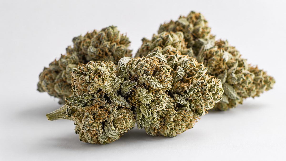 Grossiste fleurs CBD premium